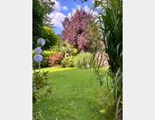 Gepflegter Garten mit großer Rasenfläche, umgeben von dichtem, abwechslungsreichem Bewuchs aus Bäumen, Sträuchern und Ziergräsern. Links stehen drei runde Papierlaternen an einem Pfosten, im Hintergrund ragen ein dunkelroter Baum und blühende Hortensien vor blauem Himmel mit Wolken auf.