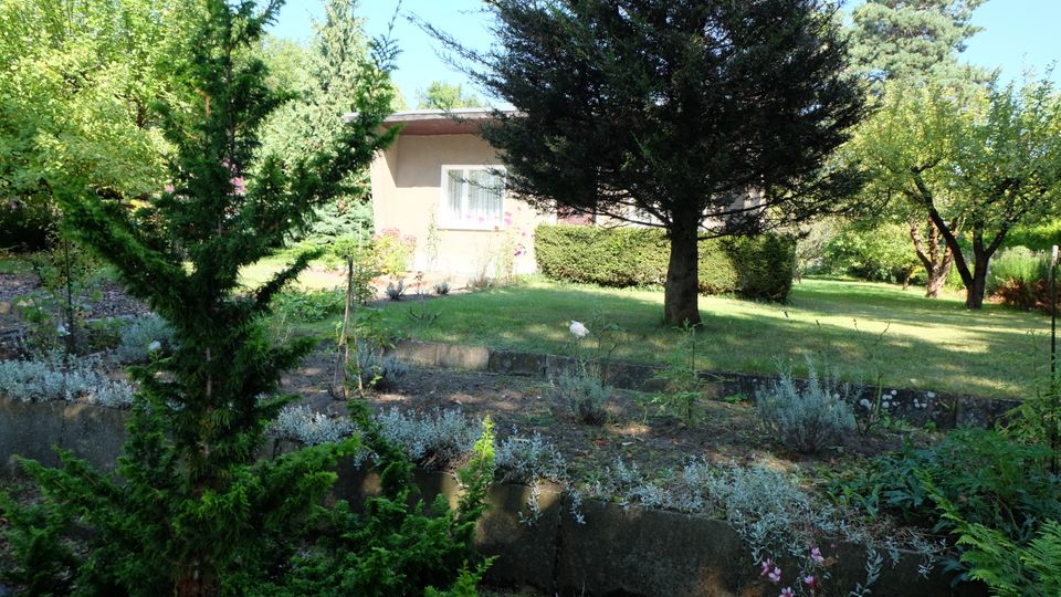 Gartenanlage mit Rasenfläche, mehreren Nadel- und Laubbäumen sowie Beeten auf einer terrassierten Böschung mit niedriger Betonstützmauer. Im Hintergrund steht ein eingeschossiges Wohnhaus mit flachem Dach und Fensterfront, umgeben von Sträuchern.