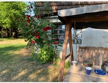 Gartenbereich mit einer hölzernen Schaukelbank unter einem Stoffdach, daneben rote Rosen an einem Haus mit weißer Fassade und Glasfenstern. Im Hintergrund ein Baum, eine Rasenfläche und Teile eines alten Fahrrads.