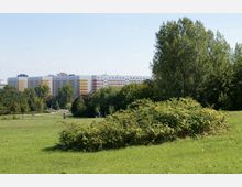 Eine parkähnliche Landschaft mit einer großen Wiese im Vordergrund, umgeben von Büschen und Bäumen. Im Hintergrund sind mehrstöckige Wohngebäude mit bunten Fassaden in Weiß, Gelb und Orange zu sehen.