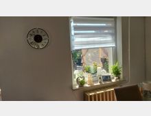 Heller Innenraum mit weißer Wand und runder Wanduhr neben einem Fenster mit halb geschlossenem Doppelrollo. Auf der Fensterbank stehen mehrere Zimmerpflanzen und Dekorationen; darunter befindet sich ein Heizkörper, und durch das Fenster ist ein kleiner Außenbereich mit Pflanzen zu sehen.