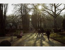 Ein parkähnlicher Weg mit Kopfsteinpflaster, gesäumt von kahlen Bäumen im Winter. Mehrere Personen spazieren entlang des Weges, während die tiefstehende Sonne zwischen den Bäumen hindurch scheint und lange Schatten wirft.