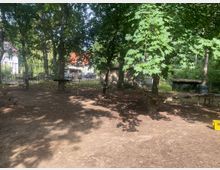 Waldspielplatz mit flachem, erdigem Boden, umgeben von hohen Bäumen, die Schatten spenden. Im Hintergrund stehen Holzbänke, Spielgeräte wie Seile und Schaukeln sowie ein Zaun, der den Bereich von angrenzenden Häusern und einem Parkplatz abgrenzt.