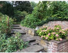 Steinweg in einem terrassierten Garten, umgeben von dichter grüner Vegetation und blühenden Hortensien. Eine niedrige Natursteinmauer begrenzt die Beete, und im Hintergrund sind hohe Büsche und Bäume sichtbar.