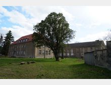 Zweistöckiges Gebäude mit roten Dachziegeln und beigefarbener Fassade, umgeben von einer Wiese mit einem großen Baum in der Mitte. Im Vordergrund ist eine graue Mauer mit Graffiti zu sehen, während der Hintergrund von bewölktem Himmel und weiteren Bäumen geprägt ist.