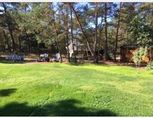 Grüne Wiese mit hohen Kiefern im Hintergrund. Im schattigen Bereich stehen Gartenmöbel, eine Schaukelbank und ein Stapel Holz unter einem kleinen Schuppen.