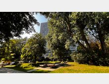 Grünfläche mit hohen Bäumen und mehreren Holzbänken im Vordergrund, umgeben von dichtem Laub. Im Hintergrund ist ein mehrstöckiges Wohngebäude zu erkennen.