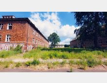 Zwei verfallene Ziegelgebäude mit teils eingeschlagenen Fenstern und Graffitis, umgeben von einer verwilderten Grünfläche. Im Hintergrund stehen weitere Gebäude, ein einzelner Baum ragt in der Mitte heraus, bei sonnigem Himmel mit einigen Wolken.