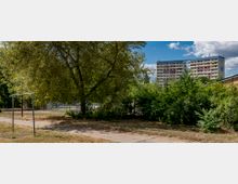 Wohngebiet mit einem mehrstöckigen Plattenbau im Hintergrund, umgeben von Bäumen und dichtem Grün. Im Vordergrund ein kahler Gehweg mit einer Metallstange, die möglicherweise für Wäscheleinen gedacht ist.