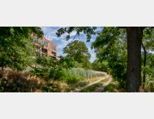 Wohngebäude aus rotem Ziegelstein mit großen Fenstern und Balkonen am linken Bildrand, umgeben von dichter Vegetation. Ein schmaler Feldweg führt durch eine grüne Landschaft mit Bäumen und Sträuchern.