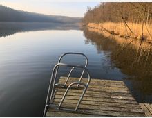 Ein hölzerner Steg mit einer Metallleiter ragt in einen ruhigen See, umgeben von kahlen Bäumen und Schilf am Ufer. Im Hintergrund sind ein bewaldetes Ufer und ein klarer Himmel zu sehen.
