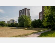 Grüne Parklandschaft mit einer offenen Wiese und Bäumen im Vordergrund, flankiert von Fußwegen. Im Hintergrund stehen hohe Wohnhäuser aus Backstein und Beton.