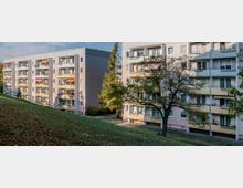 Mehrstöckige Wohngebäude mit Balkonen in einer Wohnsiedlung, flankiert von Bäumen und Grünflächen; im Vordergrund ein abfallender, grasbewachsener Hügel. Ein Fußgängerweg mit Geländer verläuft am Hang entlang.