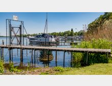Ein Steg aus Holz führt über das Wasser eines Sees zu mehreren anliegenden Booten, darunter Yachten und Segelboote. Im Vordergrund ist hohes Schilf und Gras, im Hintergrund sehen sich weitere Stege und Boote sowie eine Baumreihe unter klarem Himmel.