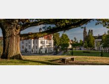 Großer Baum im Vordergrund eines Parks mit einer Holzbank; im Hintergrund eine Straße mit Bäumen, historische Gebäude mit roten Dächern und ein Kirchturm mit Uhrenspitze.
