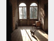 Ein spärlich eingerichteter, hochformatiger Raum mit unverputzten Ziegelwänden, großen, bogenförmigen Fenstern, durch die Tageslicht einfällt. Auf dem Holzboden steht ein einfacher Holztisch mit Stuhl, daneben eine kleine Vase mit Blumen, während eine Katze durch das Licht spaziert.
