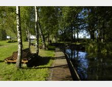 Parklandschaft mit Birken, Holzbänken und einem schmalen Holzsteg entlang eines ruhigen, von Bäumen gesäumten Gewässers. Im Hintergrund sind Wiesen und ein Gebäude sichtbar.