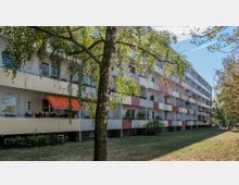 Wohngebäude mit fünf Stockwerken, hell-beige und orangefarbenen Fassadenelementen sowie Balkonen, die teilweise mit Pflanzen und Markisen dekoriert sind. Im Vordergrund steht ein Baum mit herabhängenden Ästen auf einer Rasenfläche, die von weiteren Bäumen umgeben ist.