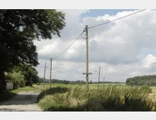 Ländliche Landschaft mit einer unbefestigten Straße, die an Strommasten entlang verläuft. Umgeben von Feldern, hohen Grasflächen und Bäumen unter einem bewölkten Himmel.