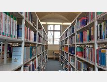 Regalreihen in einer Bibliothek mit zahlreichen Büchern auf weißen Regalen, die sich parallel in einem hellen Raum erstrecken. Im Hintergrund ist ein großes Fenster mit Blick auf Bäume und Gebäude sowie eine gewölbte Backsteindecke sichtbar.