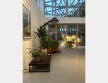 Ein heller Innenraum mit großen Glasfenstern, durch die ein Dach mit Metallträgern zu sehen ist. Im Vordergrund stehen grüne Zimmerpflanzen auf einem dunklen Holztisch, im Hintergrund erhellen Lampen und ein geschmückter Weihnachtsbaum einen angrenzenden Raum.