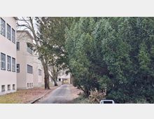 Gepflasterter Fußweg zwischen hellen, mehrstöckigen Gebäuden, gesäumt von großen Bäumen und dichtem immergrünem Gebüsch. Am Ende des Weges steht ein Gebäudeeingang mit gelber Tür und kleinem Vordach.