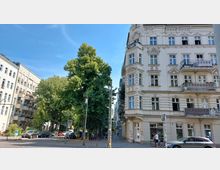 Straßenszene mit Altbauten im Jugendstil, verziert mit Stuckfassaden und Balkonen. Links ist ein Baum zu sehen, der eine kleine Straßenkreuzung mit parkenden Autos säumt.