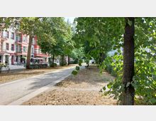 Ein schmaler, von Bäumen gesäumter Gehweg in einem städtischen Parkbereich, mit einer Bank und vereinzeltem trockenen Gras auf der rechten Seite. Im Hintergrund sind mehrstöckige Wohngebäude mit Balkonen, Geschäften und Fahrrädern entlang eines Bürgersteigs zu sehen.