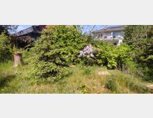 Ein grüner Garten mit Büschen, einem kleinen Nadelbaum, lila blühenden Pflanzen und einem Baumstumpf im Vordergrund. Im Hintergrund ist ein modernes Wohngebäude mit Balkonen zu sehen.