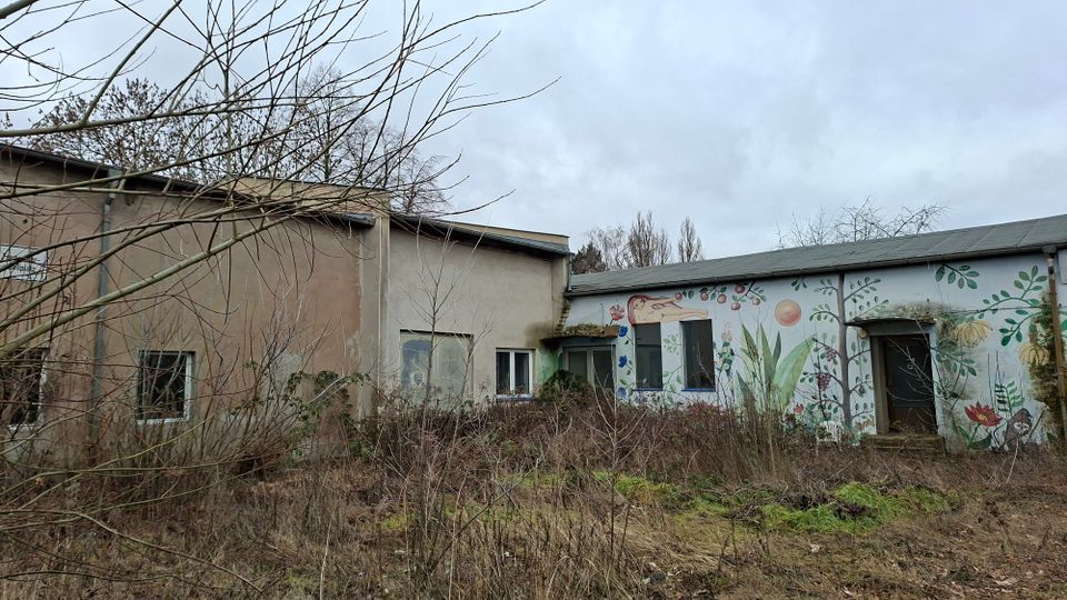 Verwittertes, einstöckiges Gebäude mit Flachdach und mehreren Fenstern, teilweise mit buntem Wandgemälde aus Pflanzen- und Fantasiemotiven an der Fassade. Davor liegt ein verwilderter Bereich mit hohem, trockenem Bewuchs und kahlen Ästen unter einem bewölkten Himmel.