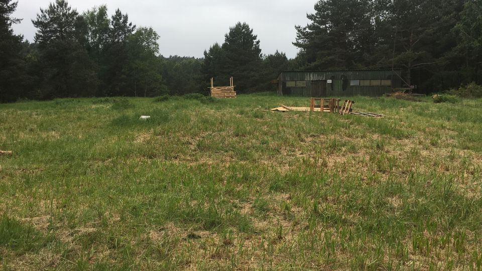 Weite, grasbewachsene Lichtung am Waldrand mit Kiefern und dichter Baumreihe im Hintergrund. Rechts steht eine lange, dunkle Wellblechhalle; auf der Wiese liegen verstreut Holzpaletten und Bretter.