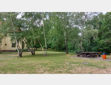 Grüne Parklandschaft mit mehreren Birkenbäumen, einer Wiese und einem gepflasterten Bereich mit Holzbänken und Tischen. Im Hintergrund ist ein gelbes Gebäude mit roten Dachziegeln teilweise sichtbar.