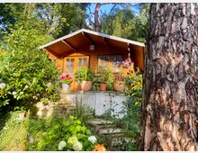 Holzhütte in einem Garten, umgeben von üppiger Vegetation mit Blumentöpfen auf einer erhöhten Terrasse. Im Vordergrund sind ein großer Baumstamm und verschiedene Pflanzen zu sehen, darunter Hortensien und gelbe Blüten.