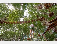 Hochseilgarten in einem Wald mit Kletterplattformen, Seilbrücken und Holzelementen zwischen hohen Bäumen. Im Vordergrund schwingt eine Person an einem Seil durch die Luft.
