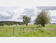 Weite, grasbedeckte Wiesenlandschaft mit vereinzelten Bäumen und Sträuchern; im Hintergrund bewaldete Hügel und Felder. Im Vordergrund ein Pfad mit niedrigen Zaunpfählen, umgeben von einer ländlichen Umgebung unter wolkigem Himmel.