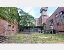 Ein Hof eines alten Industriekomplexes mit roten Backsteingebäuden, teils bewachsen mit Efeu. Im Vordergrund befindet sich eine Grünfläche mit einem Baum, im Hintergrund ein mehrstöckiges Gebäude mit großen Fenstern und einem Turm.