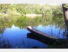 Ein ruhiger See mit dichtem Wald im Hintergrund, dessen Bäume sich im stillen Wasser spiegeln. Im Vordergrund ist ein schmaler Holzsteg zu sehen, der ins Wasser führt, umgeben von hohem Gras und Schilf.