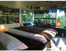 Innenraum eines umgebauten Schulbusses, der zu einem Wohnraum umfunktioniert wurde. Zu sehen sind ein Bett mit Decken und Kissen, das lenkradseitig eingebaut ist, sowie Dekorationen wie Kakteen und eine rote Lampe auf der Armaturentafel. Durch die Fenster fällt Tageslicht und zeigt eine bewaldete Umgebung.