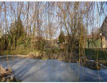 Ein kleiner, zugefrorener Teich, umgeben von kahlen Weidenästen und Büschen in einer natürlichen Gartenlandschaft. Im Hintergrund sind eine Steinmauer, vereinzelte Gebäude und Bäume sichtbar.