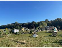 Eine weitläufige urban-gärtnerische Fläche mit selbstgebauten Strukturen wie Holzgestellen und einem Kuppelgerüst aus Holz und Metall. Im Hintergrund sind Bäume, Sträucher und vereinzelte Gebäude zu sehen, unter klarem, blauem Himmel.