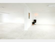 Weißer, leerer Innenraum mit glatten Wänden und einem Boden aus Beton. In einer Ecke steht ein schwarzer Kaminofen mit sichtbarer Flamme, daneben eine grüne Topfpflanze.