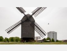 Historische Windmühle aus Holz mit großen Flügeln, umgeben von einer Grünfläche, im Hintergrund moderne Wohngebäude und kleinere Holzhütten. Der Himmel ist bewölkt, und ein Vogel fliegt durch das Bild.