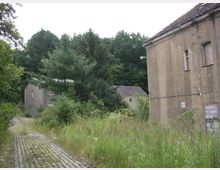 Ein verlassenes Gelände mit mehreren verwitterten Gebäuden aus einfachem Putz, umgeben von hohem Gras und dichter Vegetation. Im Hintergrund wächst ein dichter Wald, und der gepflasterte Weg im Vordergrund ist teilweise überwuchert.