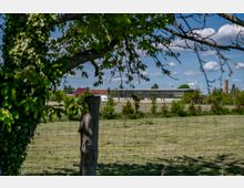 Eine weitläufige Wiese mit Bäumen am Vordergrund, durch die ein modernes, langgestrecktes Gebäude sichtbar ist. Im Hintergrund befinden sich Windräder, ein Kamin und weitere Gebäude in einer ländlichen Umgebung unter klarem Himmel.