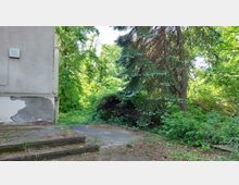 Ein verwilderter Außenbereich mit einem betonierten Weg und Stufen im Vordergrund, flankiert von einem Gebäude mit abgeblätterter Fassade auf der linken Seite. Im Hintergrund sind dichte Bäume und Sträucher zu sehen, die eine grüne, natürliche Umgebung schaffen.