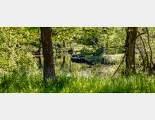 Ufer eines ruhigen Flusses, umgeben von dichter, grüner Vegetation mit hohen Bäumen und Gras. Im Vordergrund stehen zwei Bäume, während im Hintergrund ein kleines Boot und ein Steg am Wasser zu sehen sind.