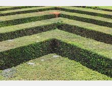 Heckenlabyrinth mit rechteckigen, dicht geschnittenen Buchsbaumhecken, die symmetrische Wege und Ecken bilden. Der Boden besteht aus kurzen Rasenflächen, und einige Stellen der Hecken zeigen leichte Verfärbungen.