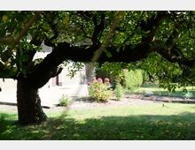 Ein grüner Garten mit einem großen, ausladenden Baum im Vordergrund, dessen Äste Schatten spenden. Im Hintergrund sind bunte Blumenbeete und der Eingang eines Gebäudes aus hellem Putz erkennbar.