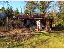 Kleines eingeschossiges Gartenhaus mit braunem Flachdach, einem überdachten Eingangsbereich und Kletterpflanzen an den Seiten. Umgeben von einem wilden Gartenbereich mit kahlen Sträuchern, Rasen und hohen Bäumen im Hintergrund.