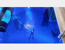 Blick auf ein Schwimmbecken mit tiefblauem Wasser, teilweise reflektierenden Lichtquellen und einer Person mit Tauchausrüstung unter Wasser. Rechts im Bild ist ein schmaler Beckenrand aus hellen Materialien zu erkennen.